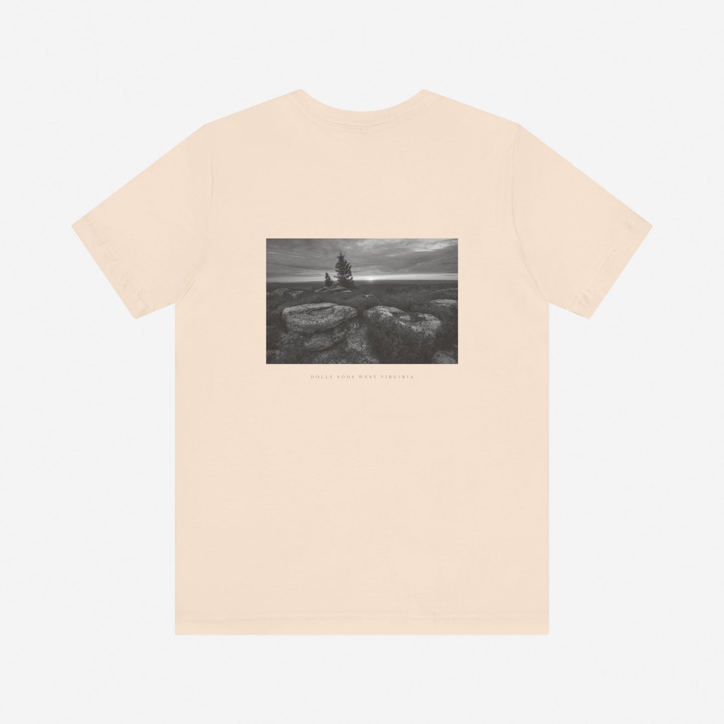SOFT CREAM