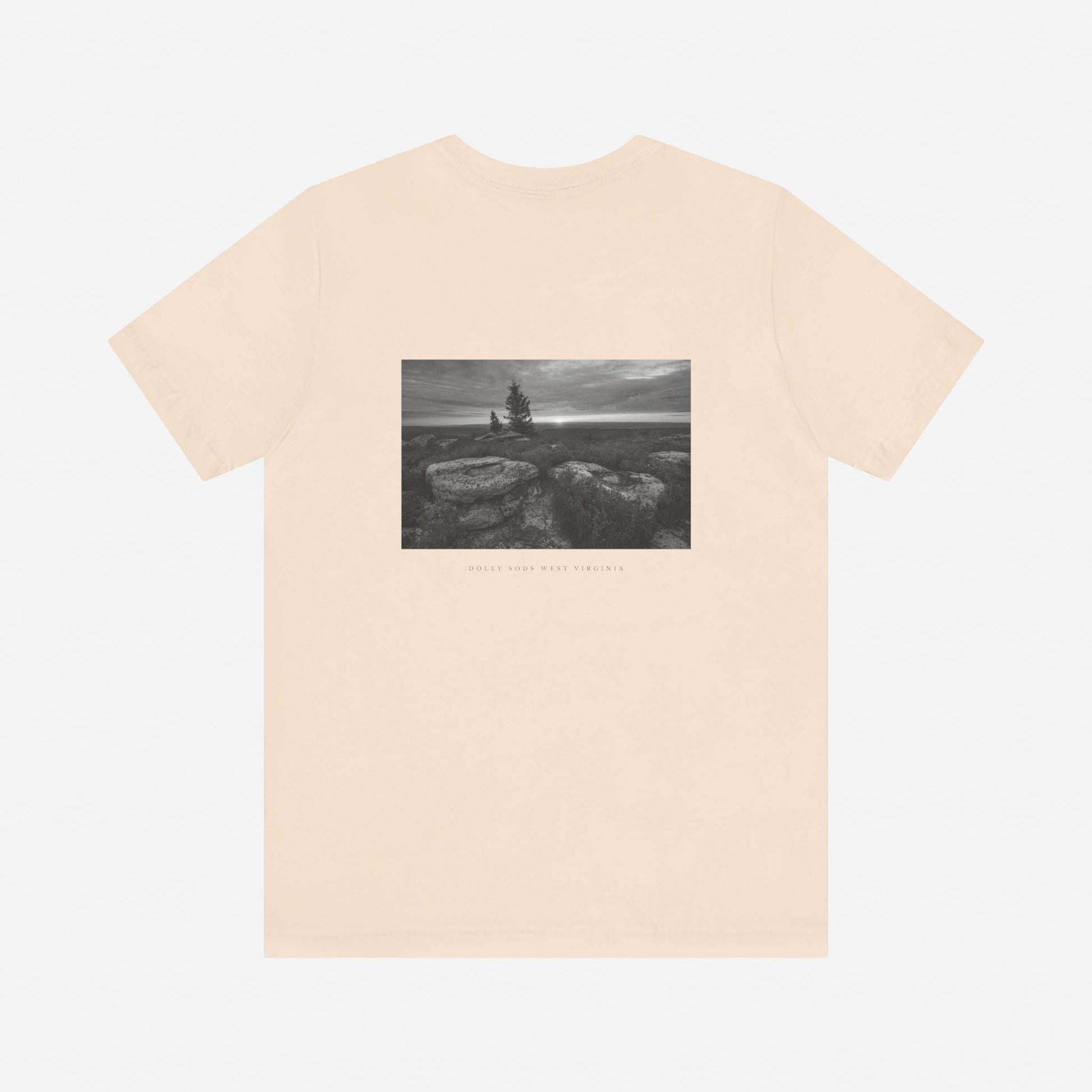 SOFT CREAM