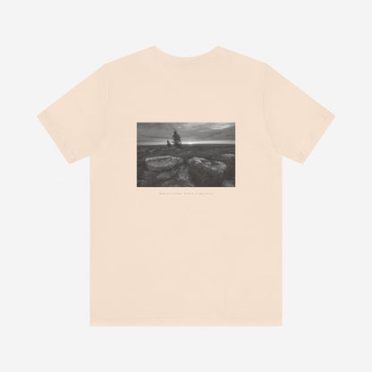 SOFT CREAM