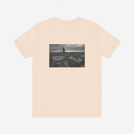 SOFT CREAM