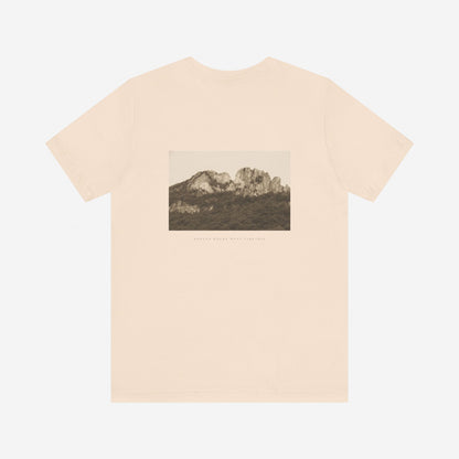 SOFT CREAM