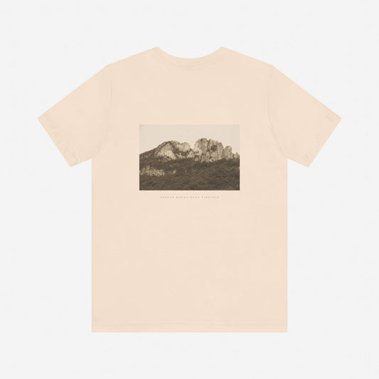 SOFT CREAM
